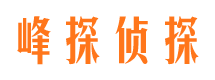 河西市侦探公司